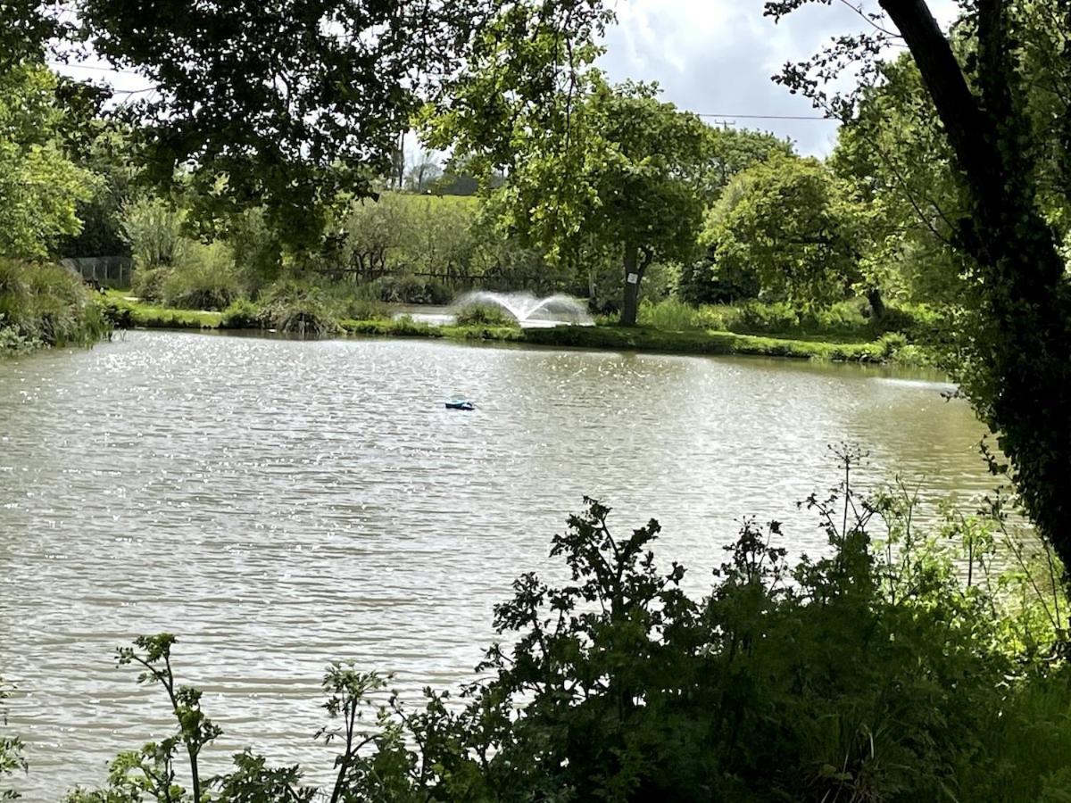 Luxury Caravan Cornwall Sleeps 4 Countryside View Сент-Остел Экстерьер фото